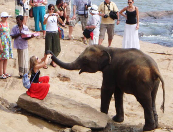inora-travel-lanka-day-tour-pinnawala